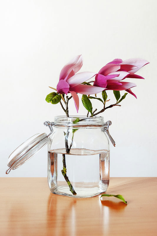 Glass Bottles and Jars in Your Garden