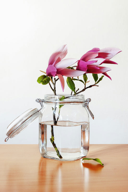 Glass Bottles and Jars in Your Garden