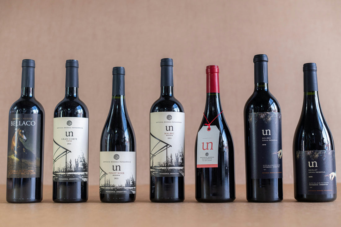 argentina wine bottles