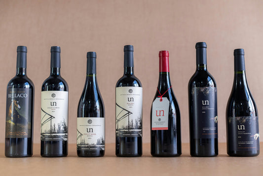 argentina wine bottles