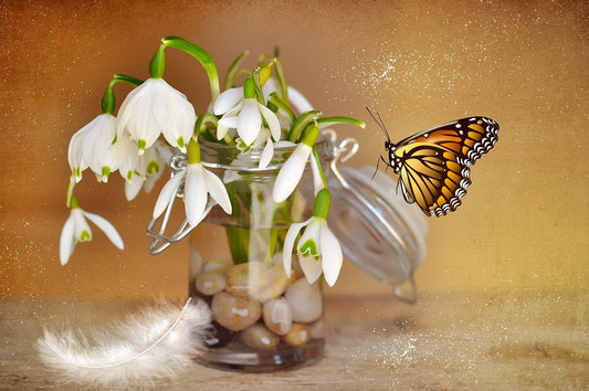 glass jars ornaments